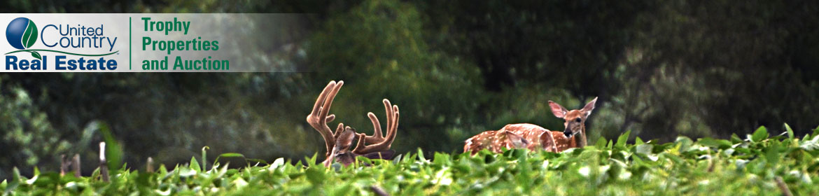 Hunting Land In Nebraska