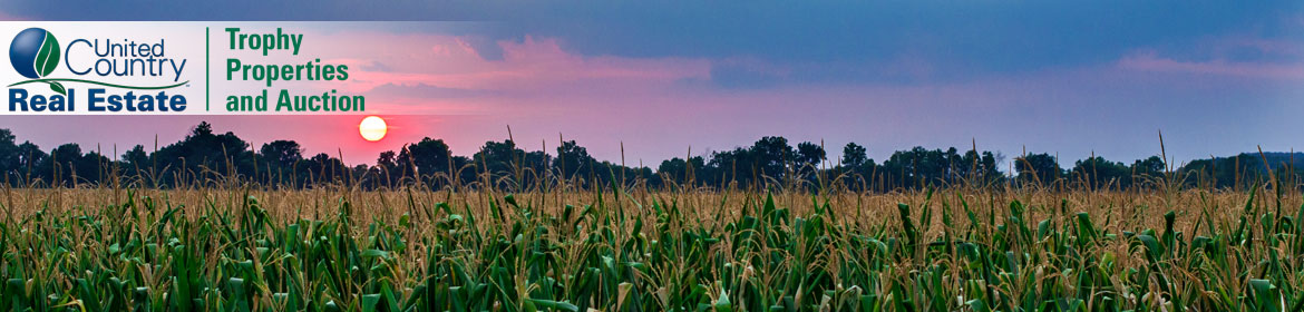 Illinois Crop Land For Sale