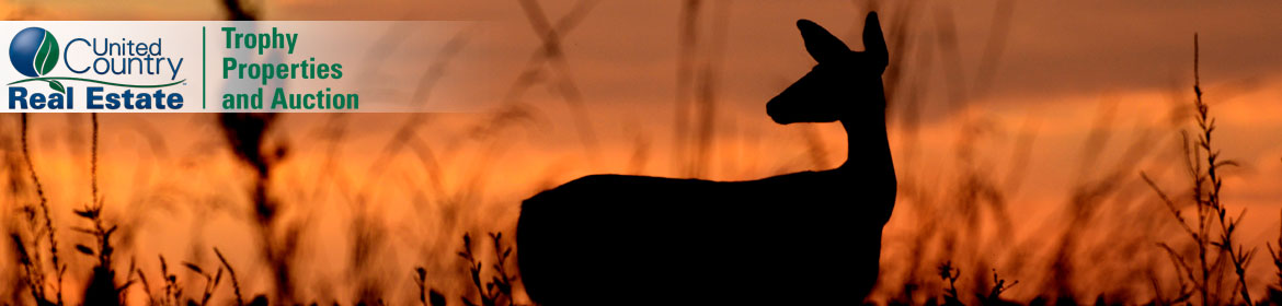 Iowa Deer Hunting Land